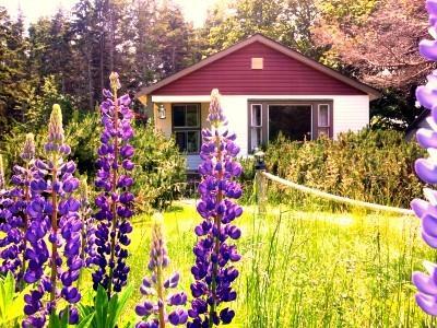 Goodview Cottages By Stanhope Beach Pei For Adults Only Εξωτερικό φωτογραφία