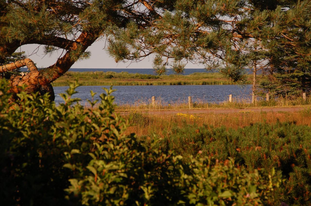 Goodview Cottages By Stanhope Beach Pei For Adults Only Εξωτερικό φωτογραφία